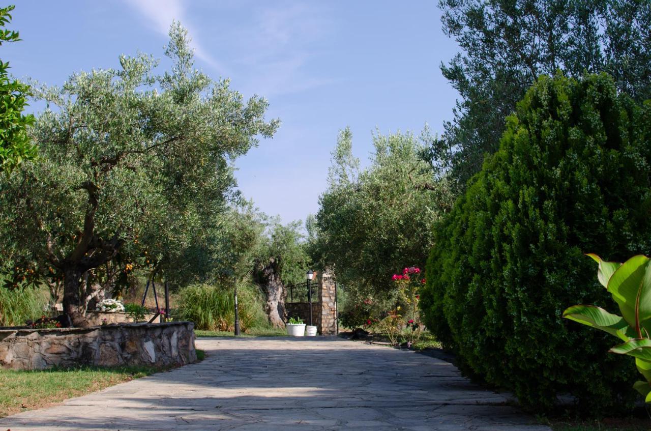 Makis House Hotel Nikiti  Buitenkant foto