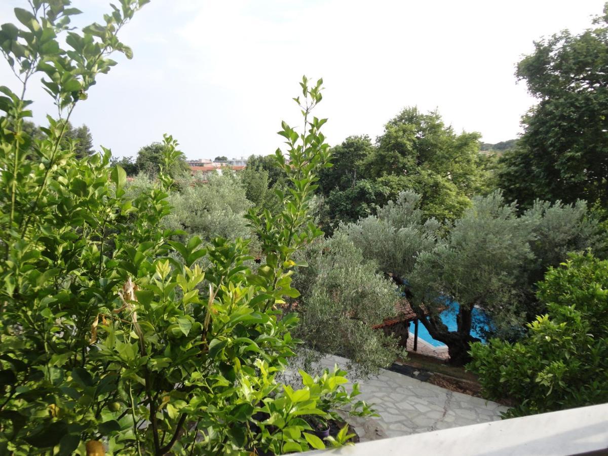 Makis House Hotel Nikiti  Buitenkant foto