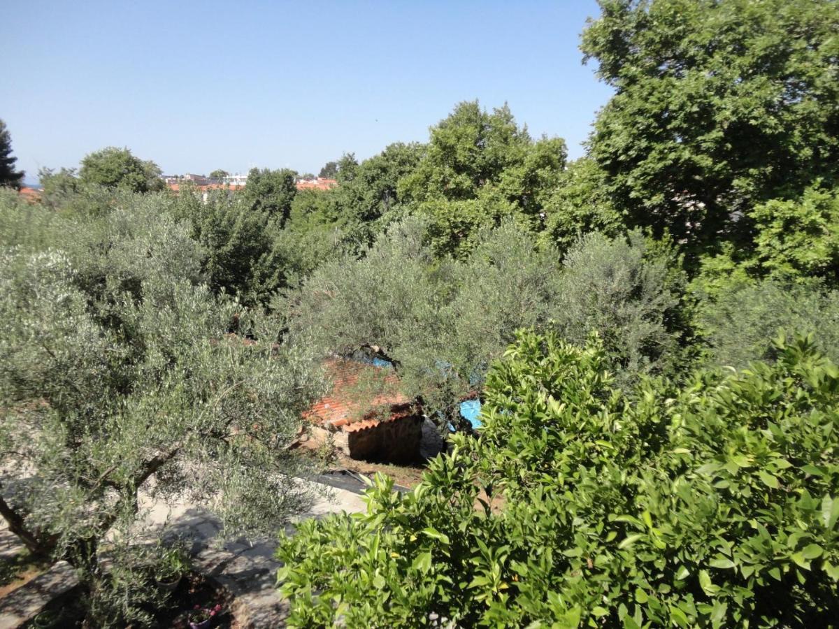 Makis House Hotel Nikiti  Buitenkant foto